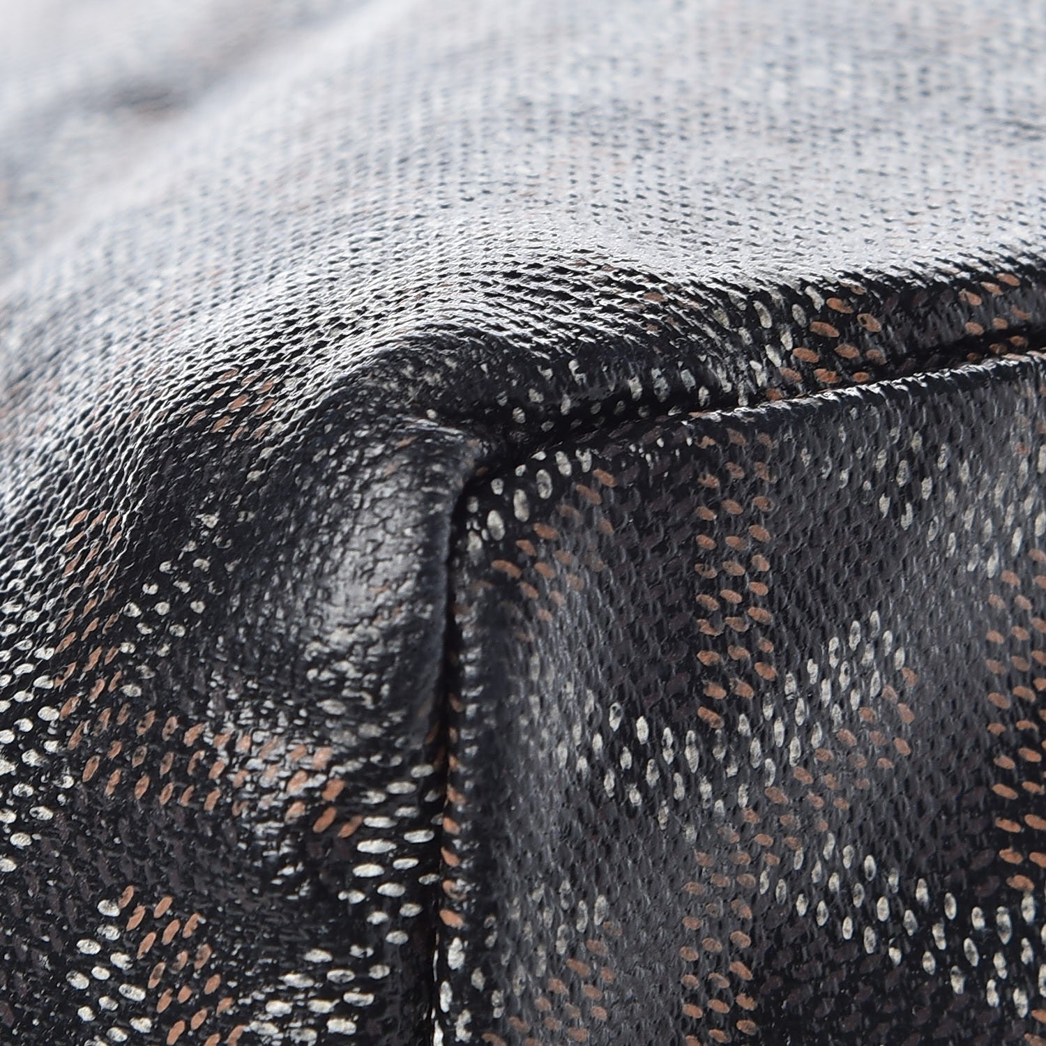 Goyard Goyardine Saint Louis PM Black 13 of 16