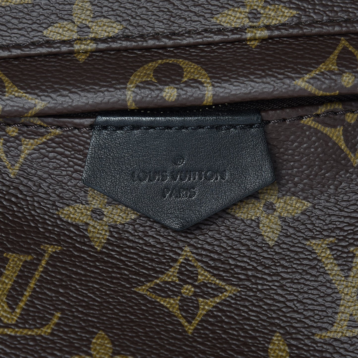 Monogram Palm Springs Backpack PM