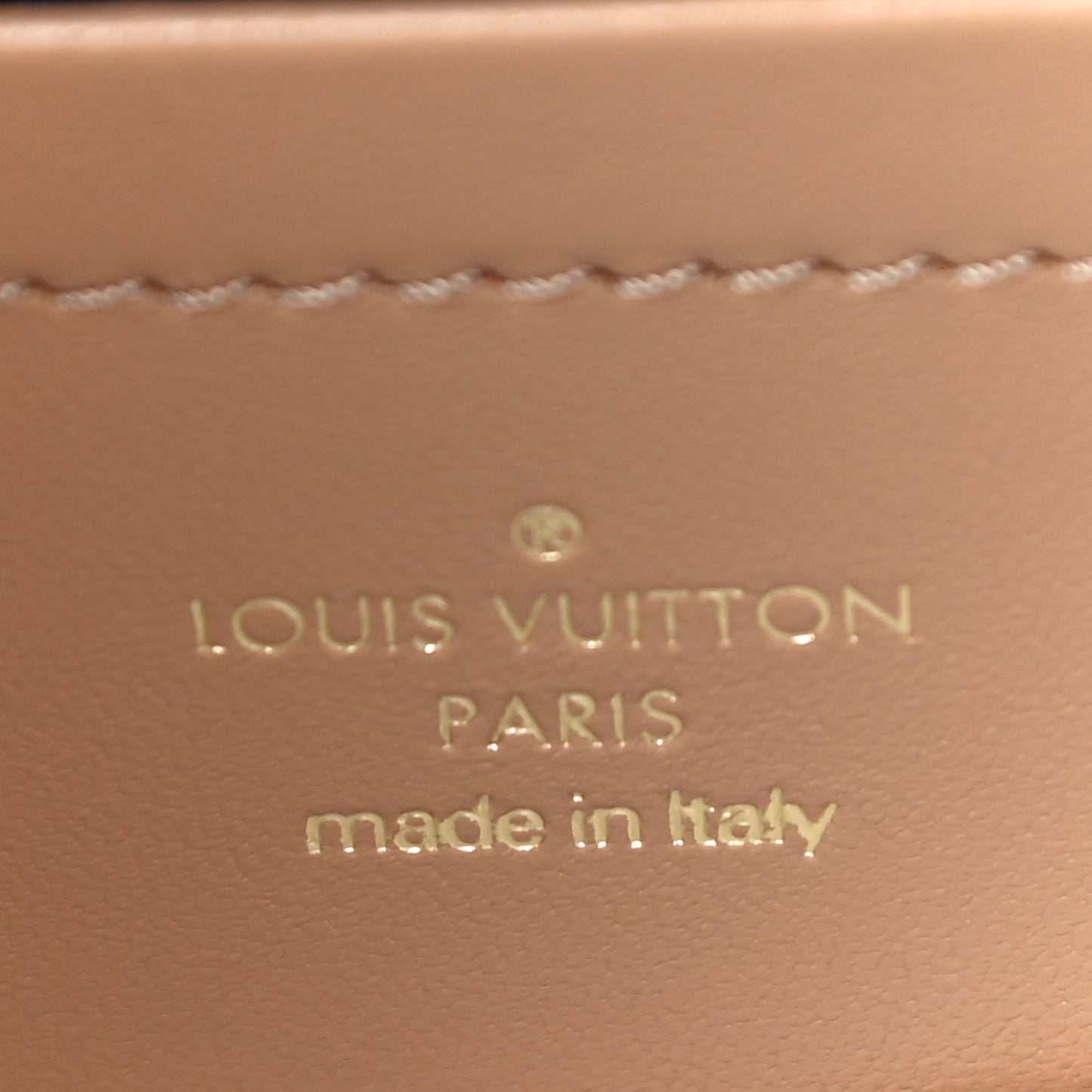 Lambskin Embossed Monogram Pochette Coussin Camel