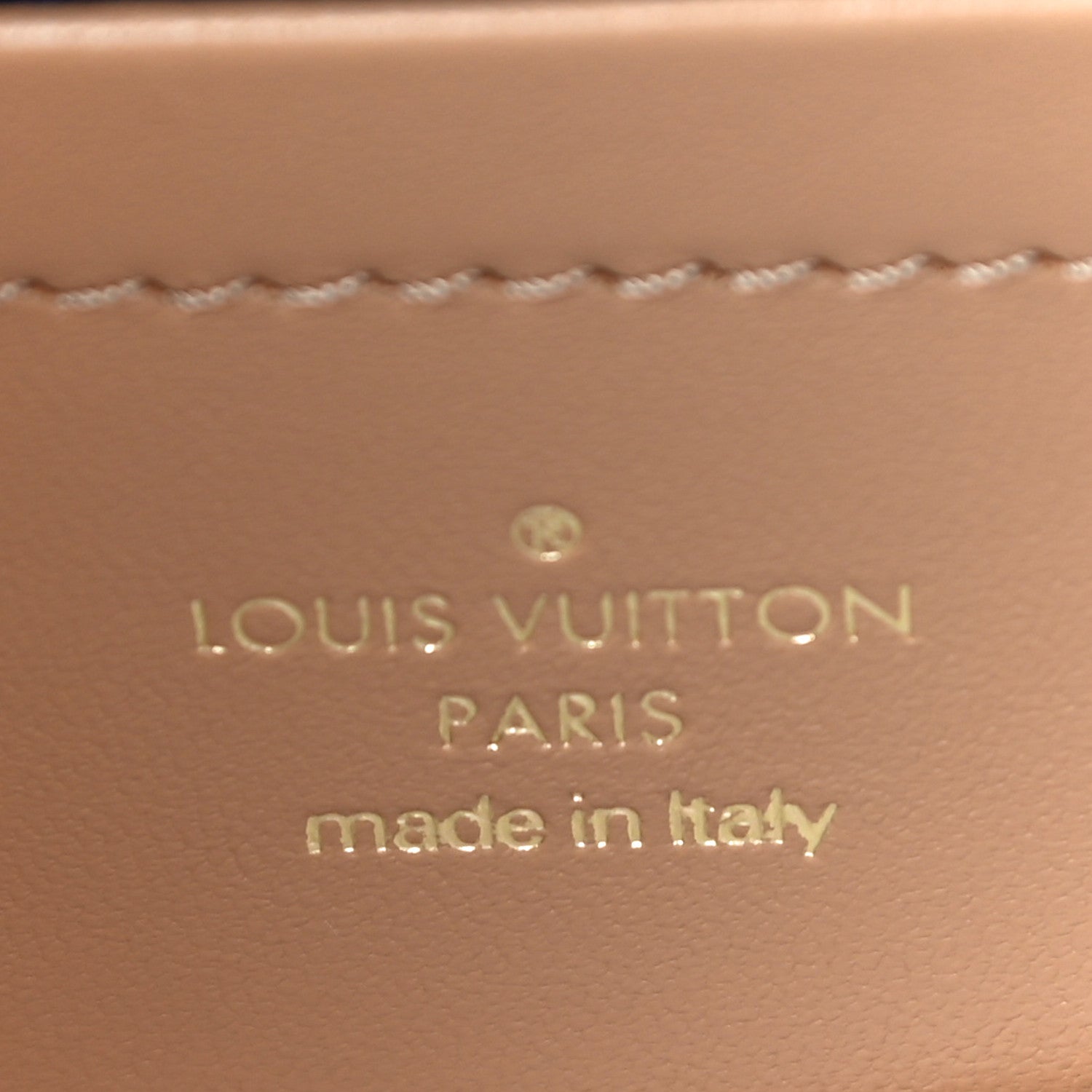 Louis Vuitton Lambskin Embossed Monogram Pochette Coussin Camel 7 of 12