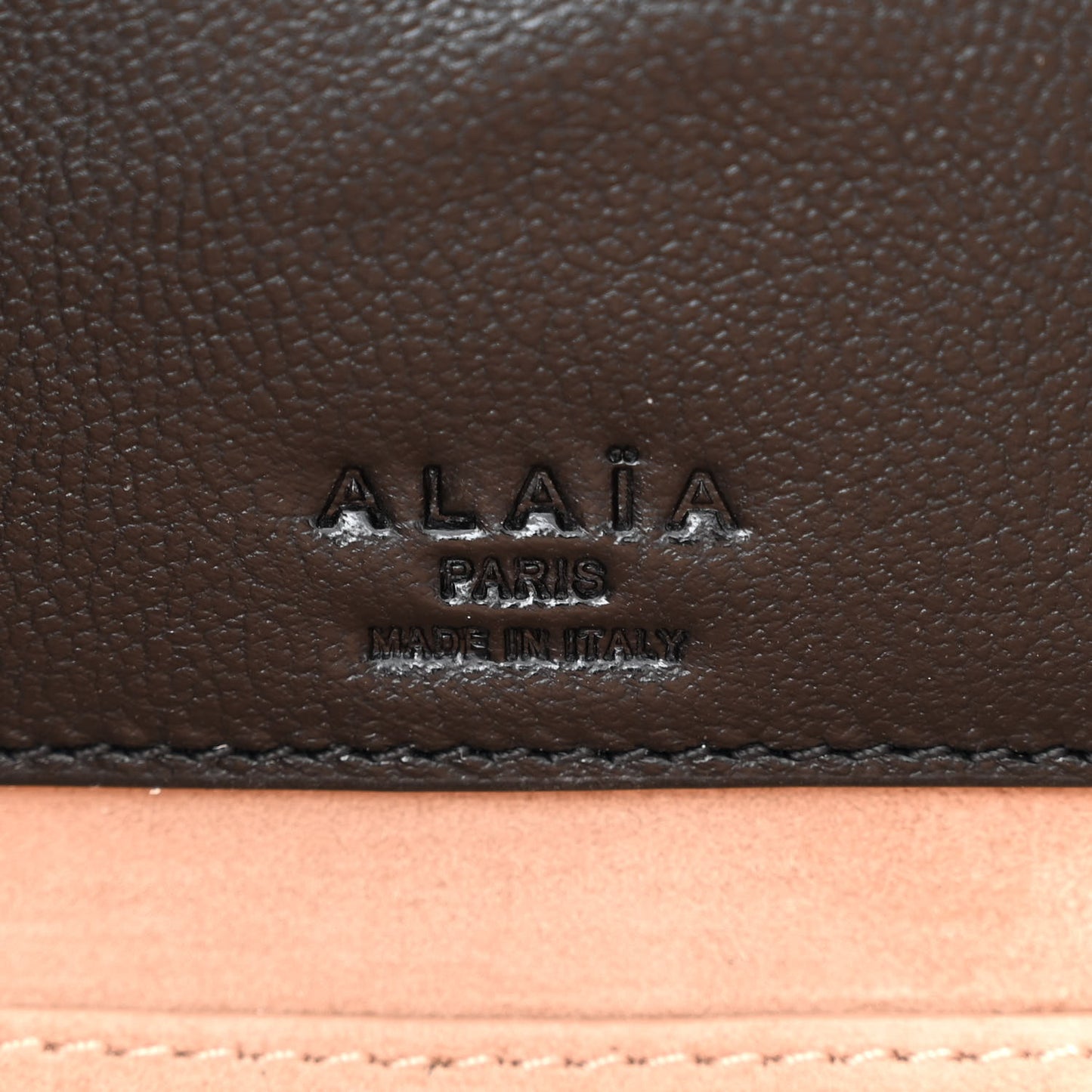 Shiny Goatskin Medium Le Teckel Bag Black