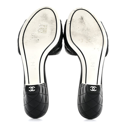 Chanel Lambskin Quilted Textured CC Mules 38.5 Black 6 of 10