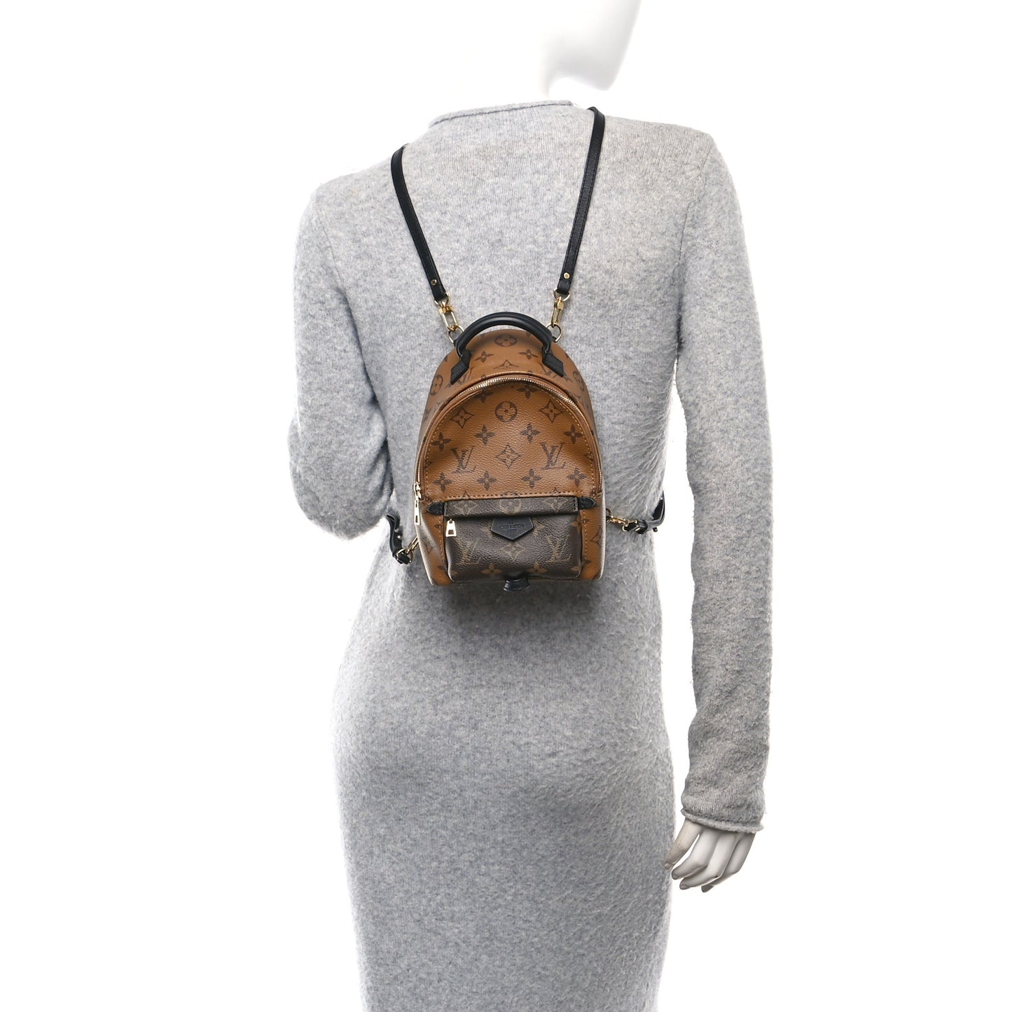 Reverse Monogram Palm Springs Backpack Mini