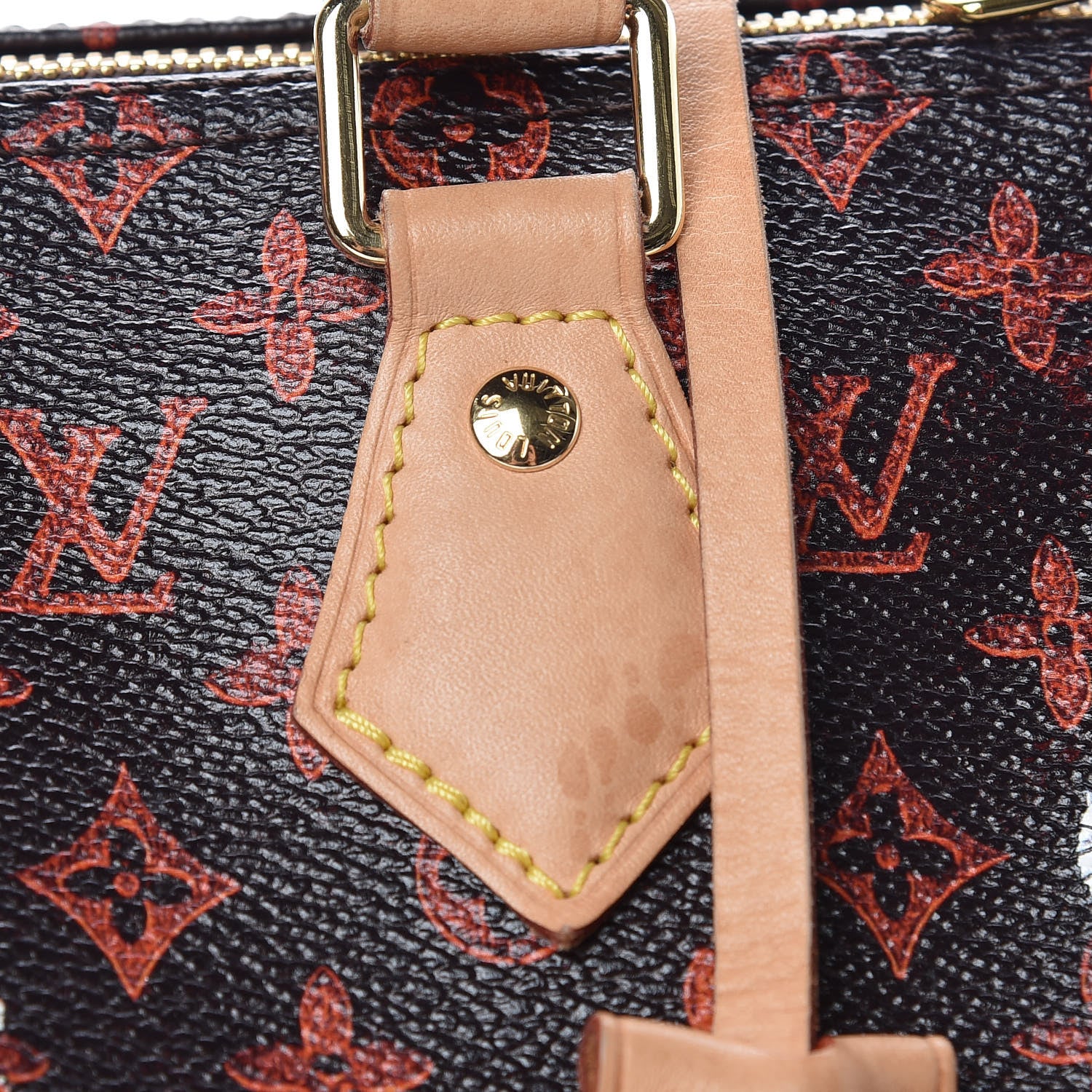 Louis Vuitton Catogram Speedy Bandouliere 30 Marron 13 of 16