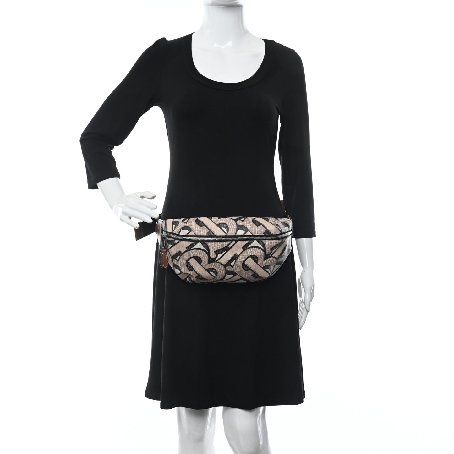 E-Canvas Monogram Medium Sonny Bum Bag Dark Beige