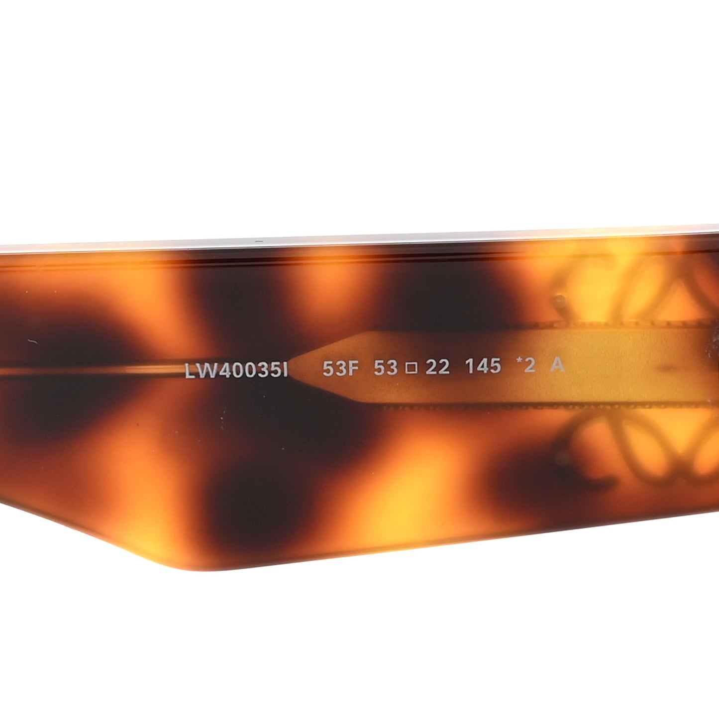 Acetate Square Sunglasses LW40035I Tortoise