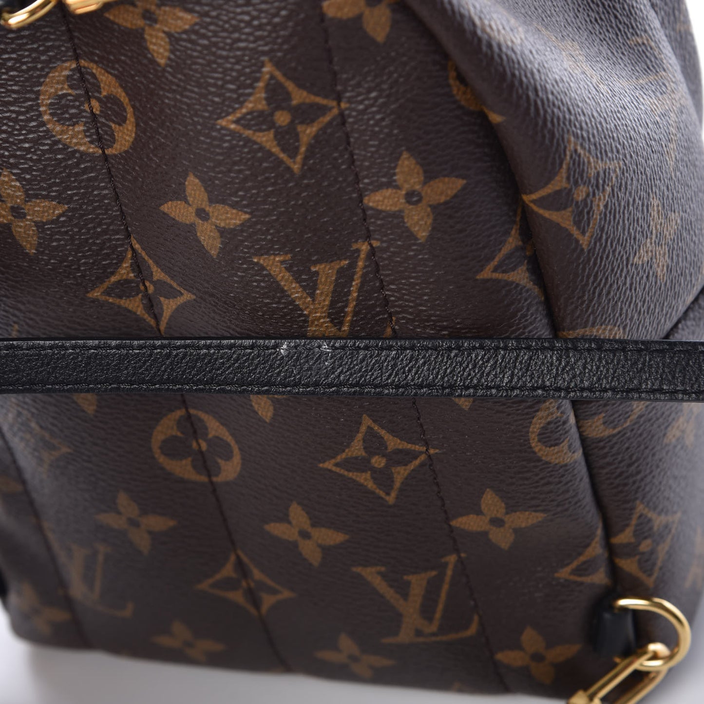 Monogram Palm Springs Backpack Mini
