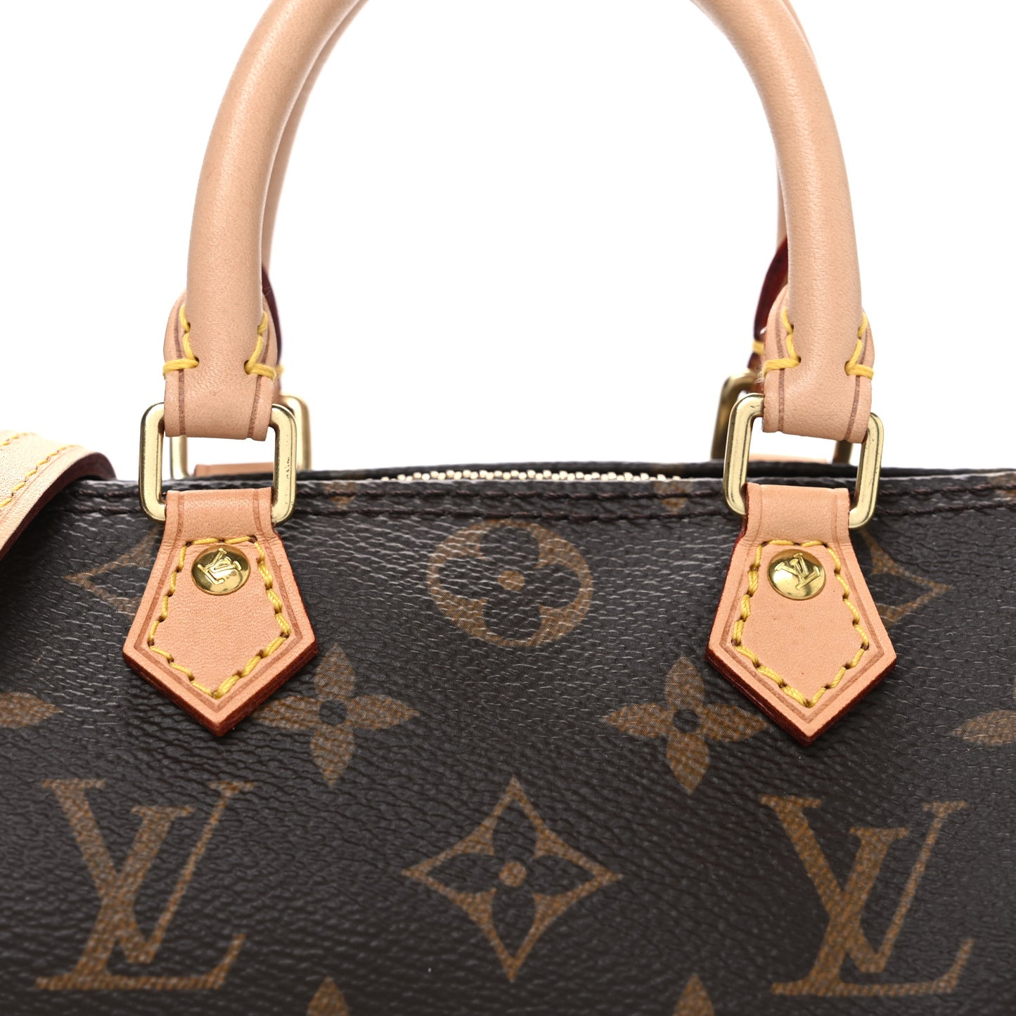 Monogram Nano Speedy