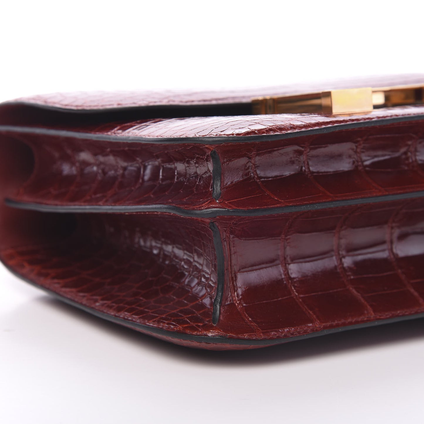 Shiny Niloticus Crocodile Lizard Marquette Constance 24 Rouge H