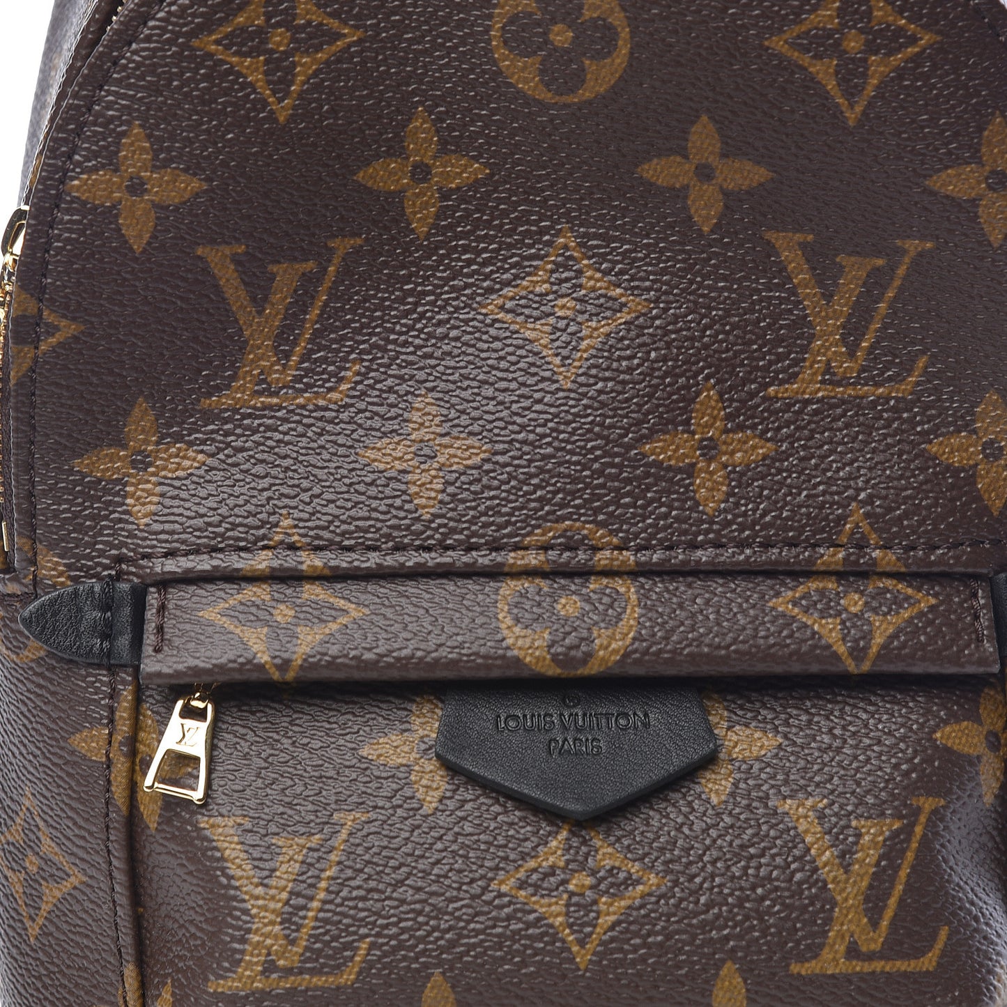 Monogram Palm Springs Backpack Mini