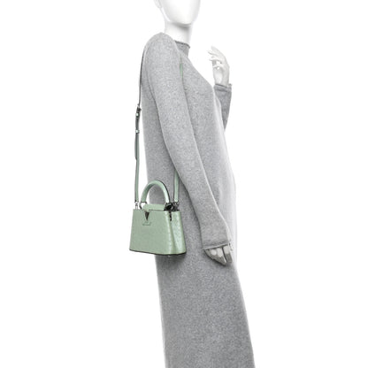 Louis Vuitton Iridescent Ostrich Capucines Mini Vert d’Eau 2 of 13