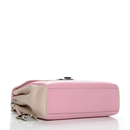 Christian Dior Calfskin Large Diorling Rose Candy 4 of 7