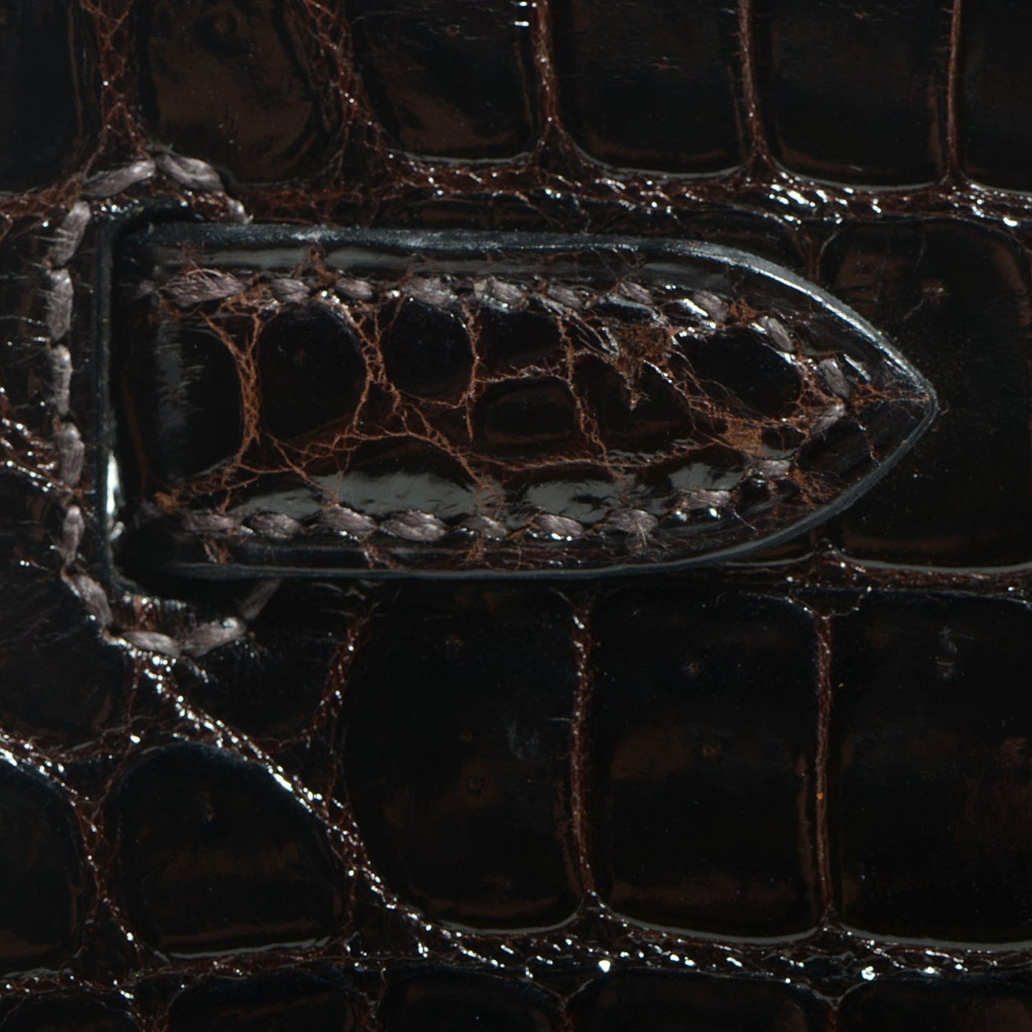 Shiny Porosus Crocodile Kelly Sellier 25 Cocoan