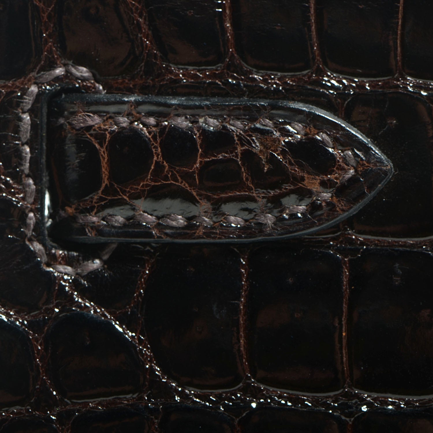 Hermes Shiny Porosus Crocodile Kelly Sellier 25 Cocoan 28 of 28