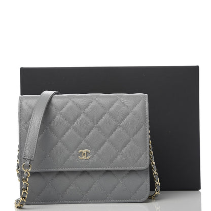 Chanel Caviar Quilted Square Wallet On Chain WOC Grey 12 of 12