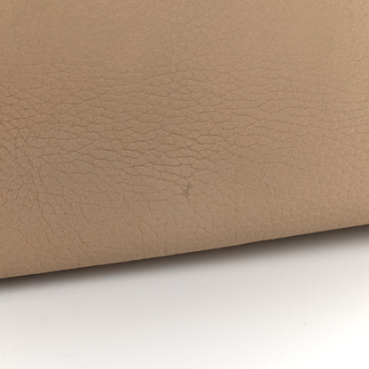 Christian Dior Bullcalf Large Diorissimo Tote Beige Petale 27 of 28