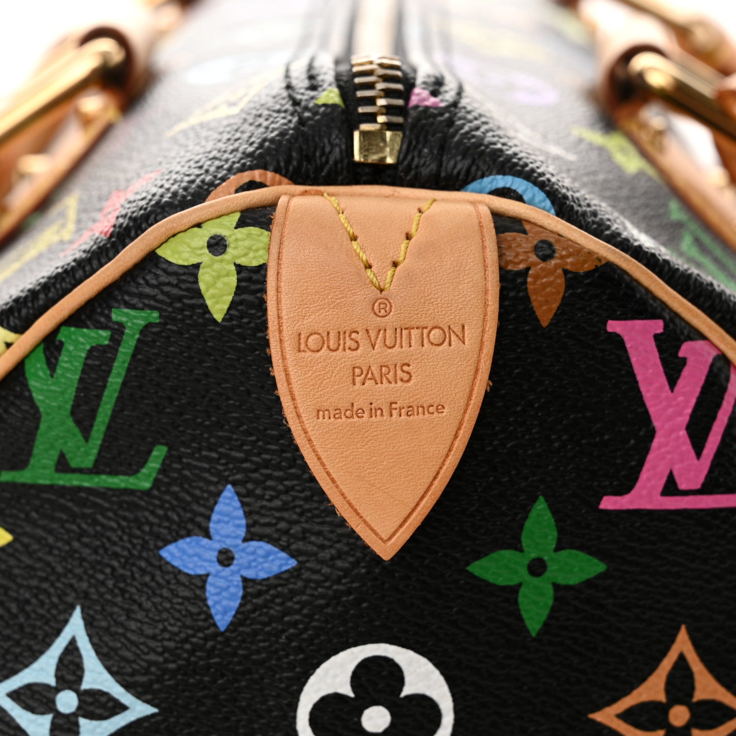 Monogram Multicolor Speedy 30 Black
