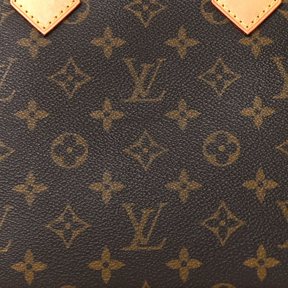 Louis Vuitton Monogram Alma PM 8 of 11