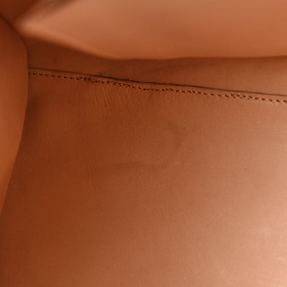 Moynat Taurillon Gex Pauline Tote 12 of 12
