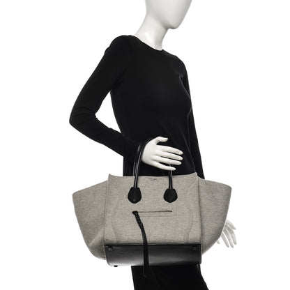 Celine Felt Medium Phantom Luggage Pearl Grey 2 of 7