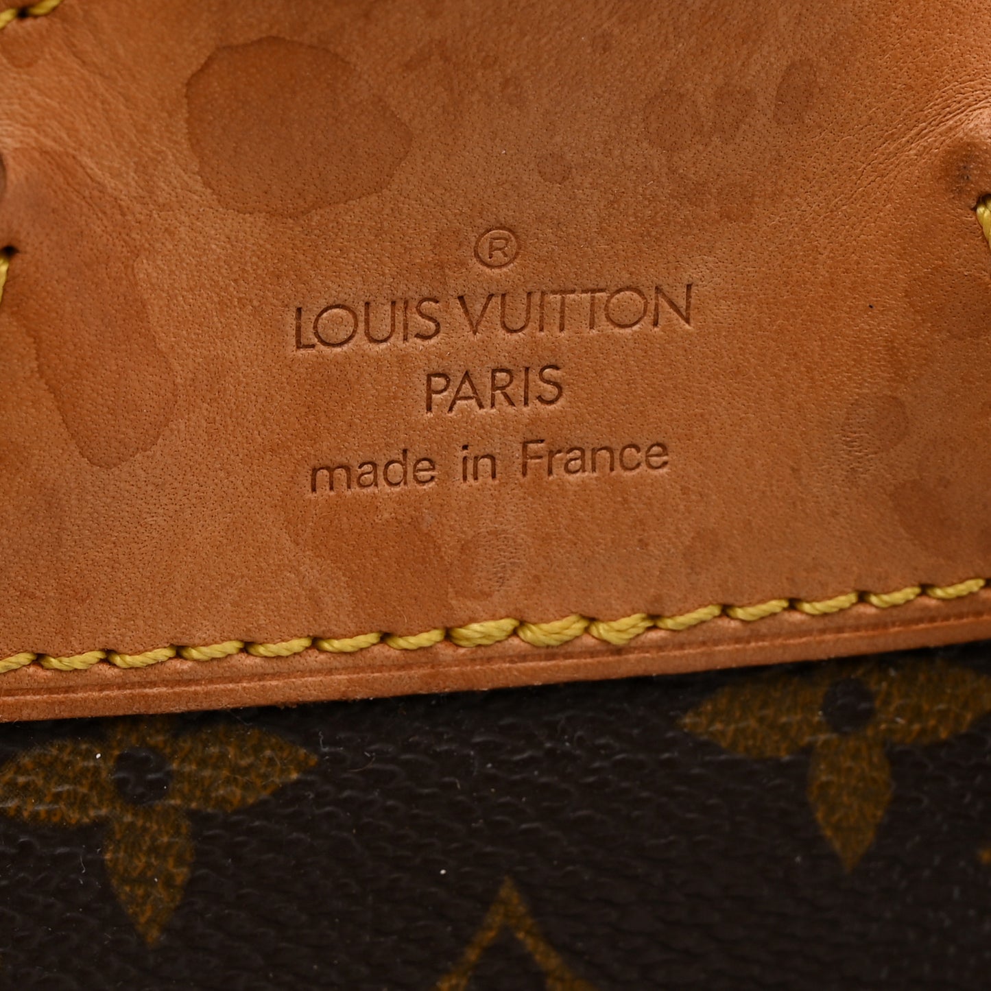 Monogram Montsouris MM Backpack