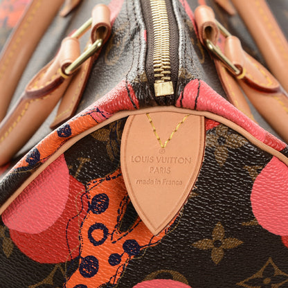 Louis Vuitton Monogram Ramages Speedy 30 Grenade 7 of 7