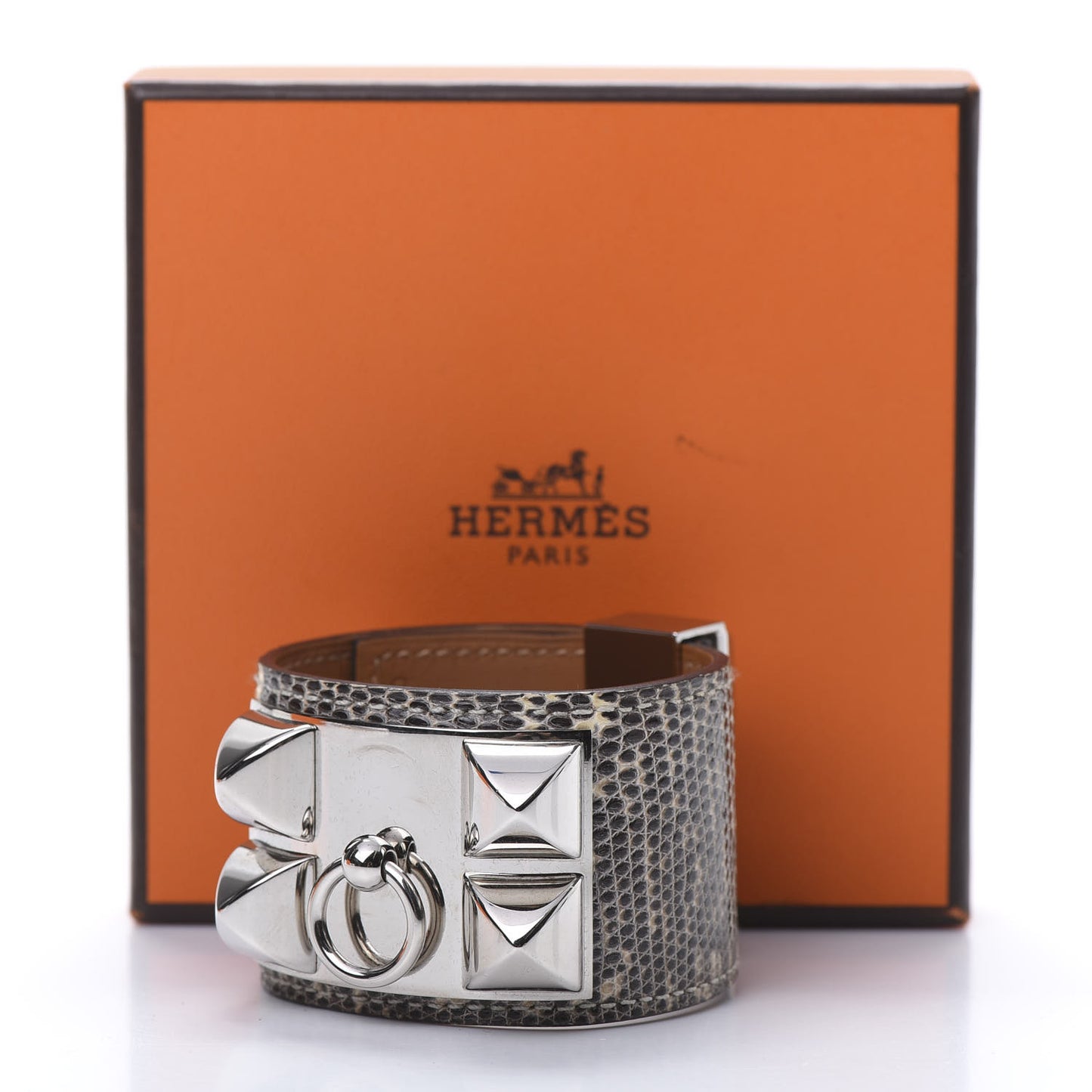 Lizard Collier De Chien CDC Bracelet T2 Ombre