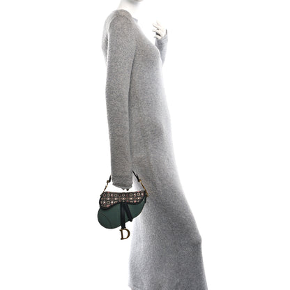 Christian Dior Beaded Calfskin Snakeskin Mini Saddle Bag Green 2 of 10
