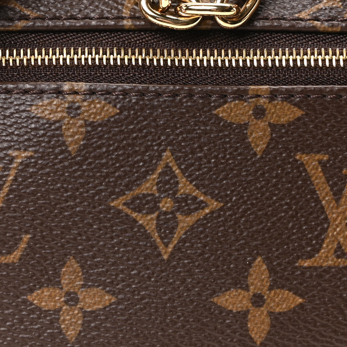 Louis Vuitton Monogram Loop 6 of 8