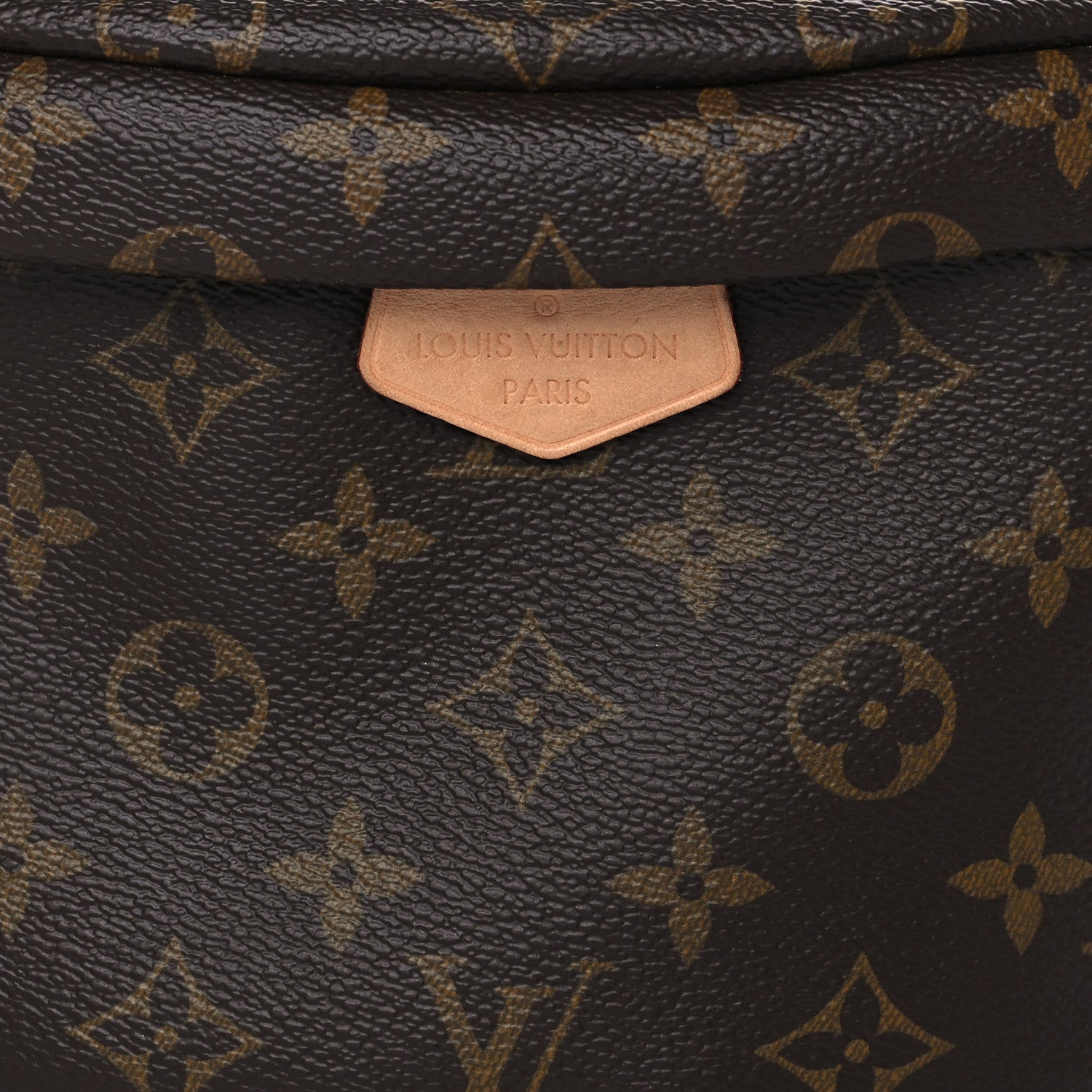 Louis Vuitton Monogram Bumbag 7 of 9
