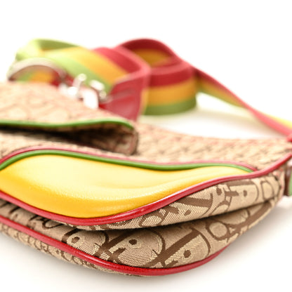 Christian Dior Monogram Rasta Double Saddle Beige Saddle Beige 10 of 11