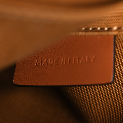Celine Canvas Calfskin Triomphe Mini Besace Tan 6 of 10