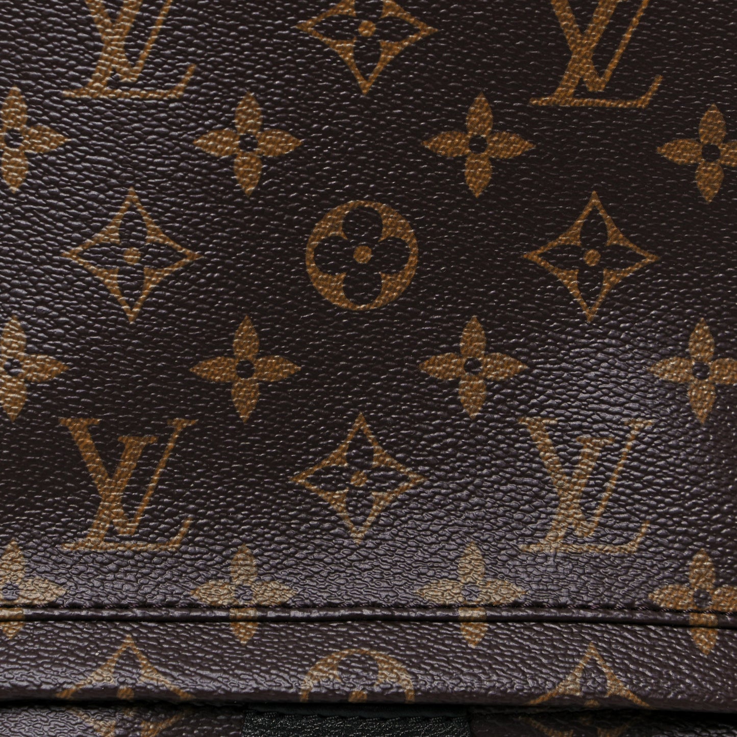 Monogram Palm Springs Backpack PM
