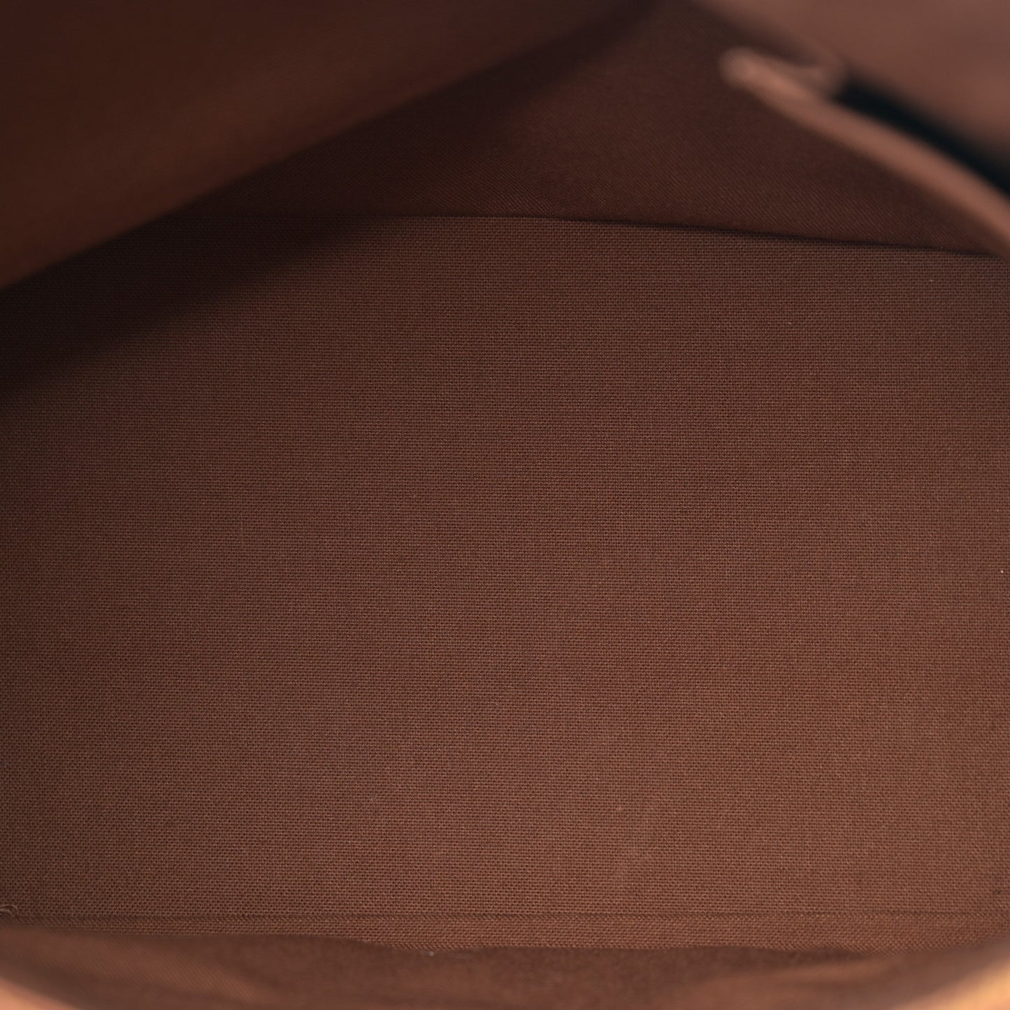 Monogram Cabas Mezzo