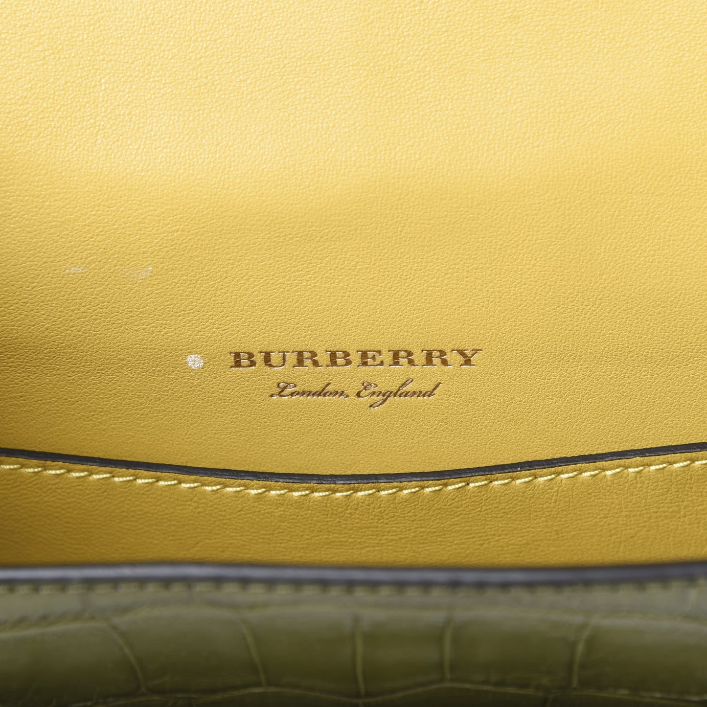 Alligator Square Satchel Dark Antique Green