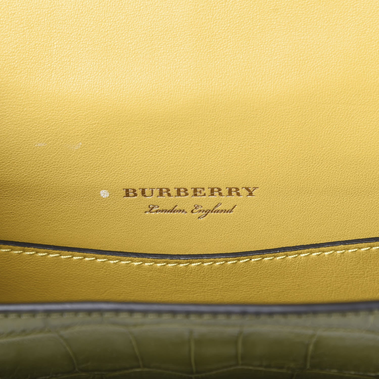 Burberry Alligator Square Satchel Dark Antique Green 6 of 12