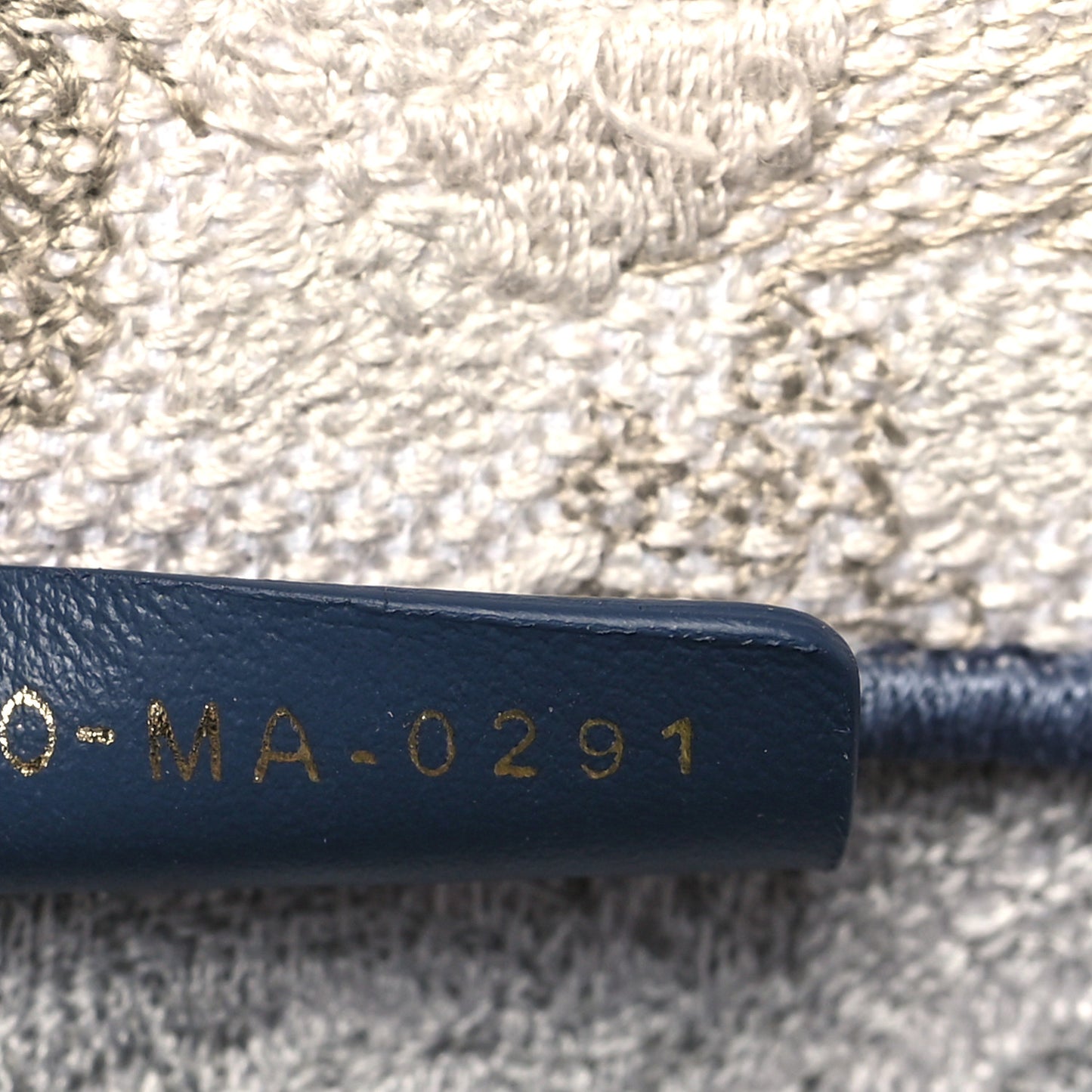 Gradient Canvas Embroidered Large Dioriviera Toile De Jouy Book Tote Blue