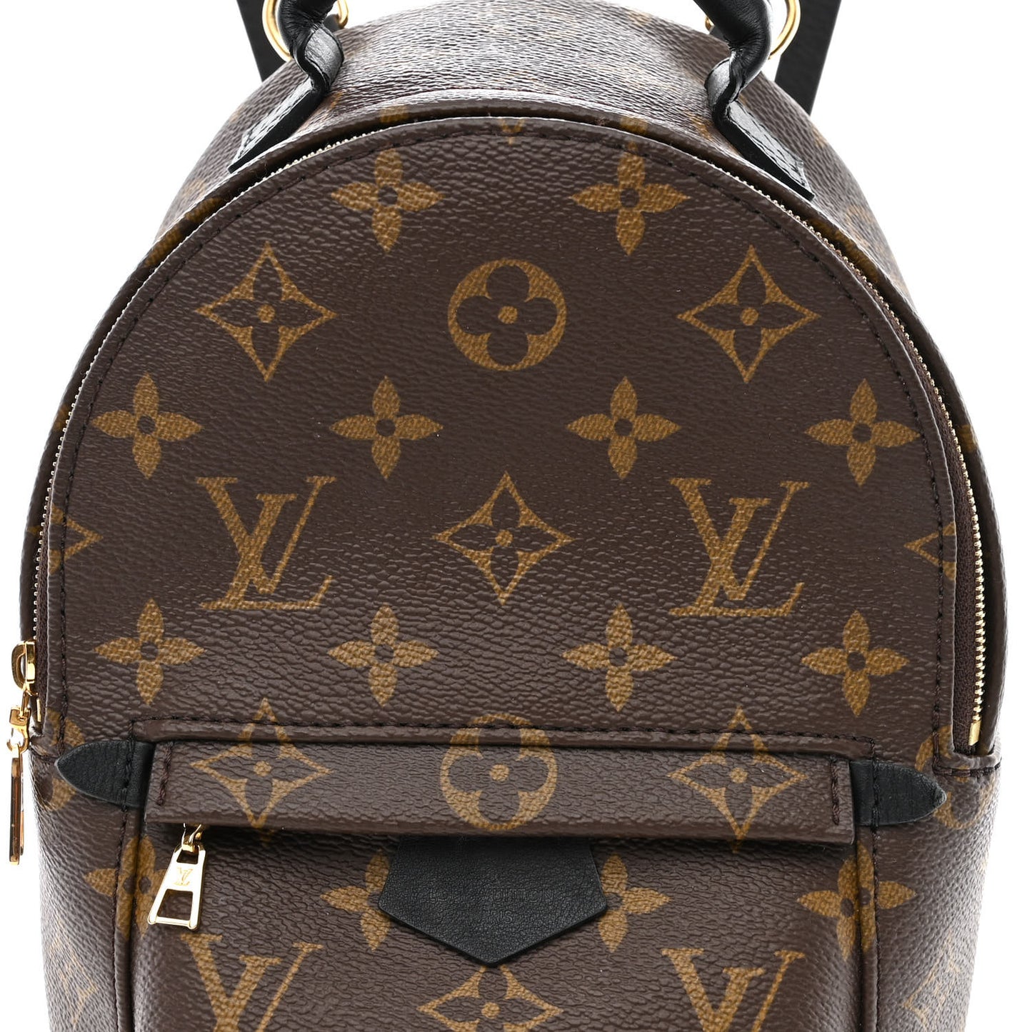 Monogram Palm Springs Backpack Mini