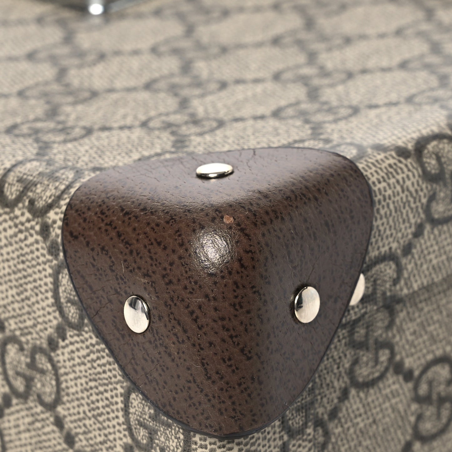 GG Supreme Monogram Globe-Trotter Beauty Case Brown