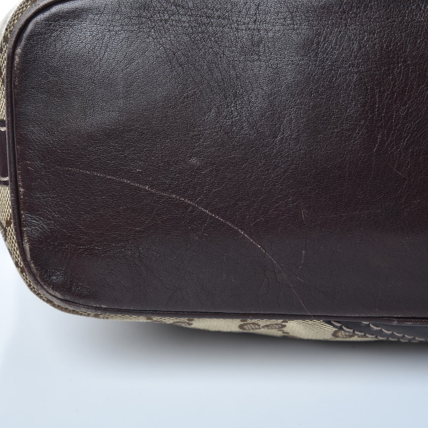 Monogram Medium New Britt Hobo Brown