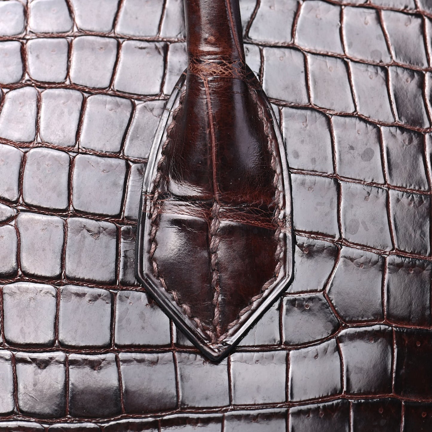 Shiny Porosus Crocodile Birkin 35 Cocoan