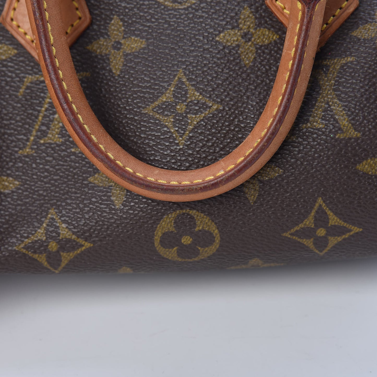 Monogram Mini Sac HL Speedy