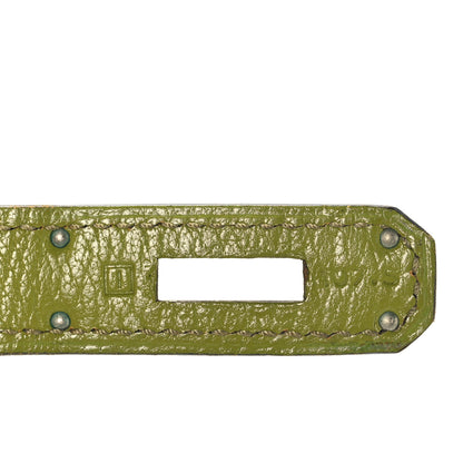 Hermes Chevre Mysore Bi-Color Birkin 30 Vert Anis Vert Chartreuse 28 of 39