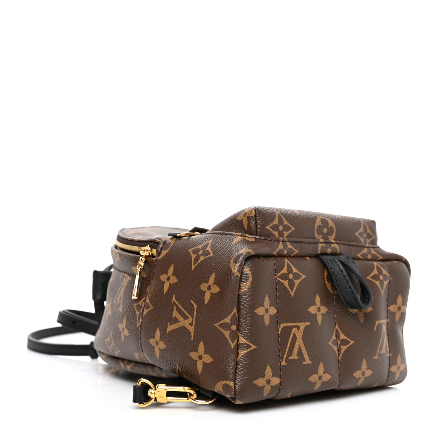 Monogram Palm Springs Backpack Mini