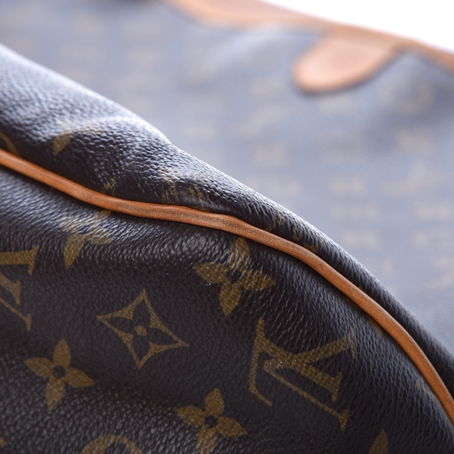 Monogram Delightful MM