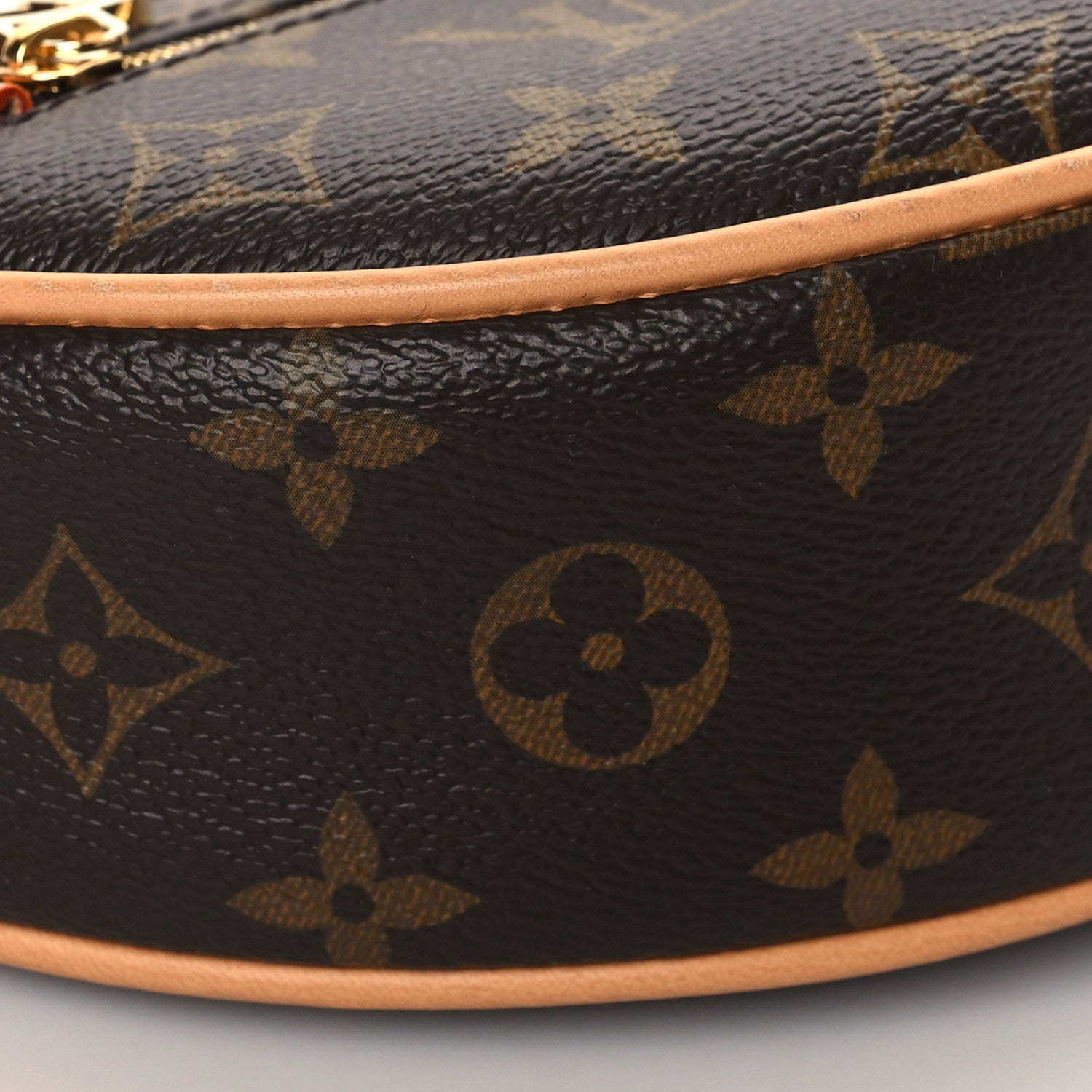Louis Vuitton Monogram Loop 8 of 9