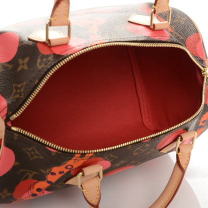 Louis Vuitton Monogram Ramages Speedy 30 Grenade 5 of 6