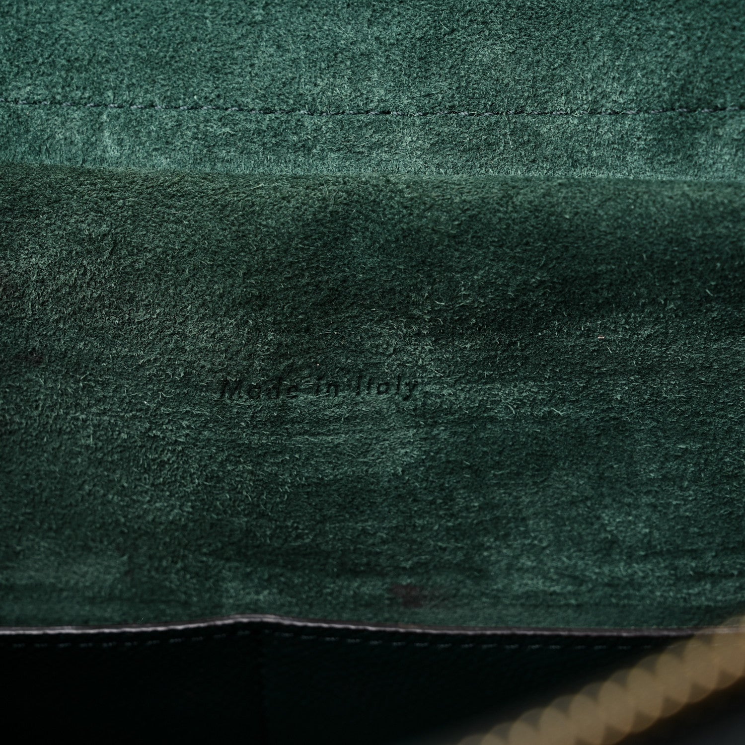 Celine Grained Calfskin Mini Belt Bag Amazone 6 of 14