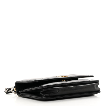 Chanel Shiny Goatskin Quilted Chanel 19 Wallet On Chain WOC Black 4 of 23