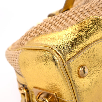 Prada Paglia Cinghiale Frame Tote Naturale Oro 8 of 13